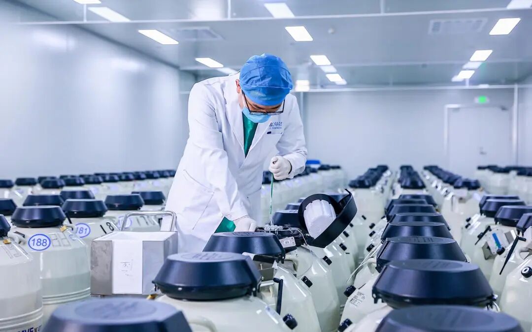 辅助生殖实验室中的胚胎冷冻保存设备